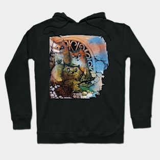 3 cat Hoodie